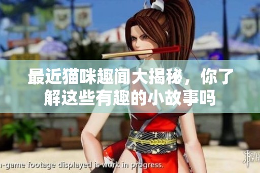 最近猫咪趣闻大揭秘，你了解这些有趣的小故事吗