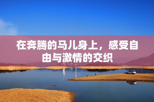在奔腾的马儿身上，感受自由与激情的交织