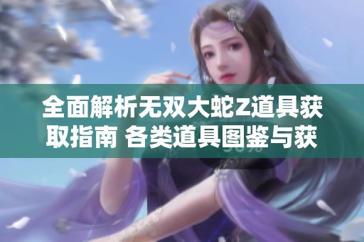 全面解析无双大蛇Z道具获取指南 各类道具图鉴与获取方式详尽解读