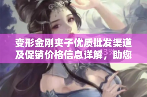 变形金刚夹子优质批发渠道及促销价格信息详解，助您轻松获取货源