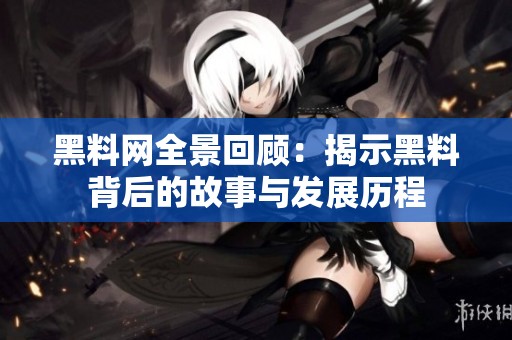 黑料网全景回顾：揭示黑料背后的故事与发展历程