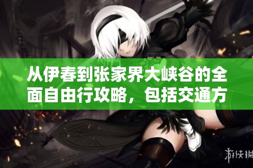 从伊春到张家界大峡谷的全面自由行攻略，包括交通方式与景点详细介绍
