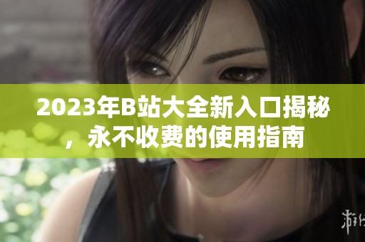2023年B站大全新入口揭秘，永不收费的使用指南