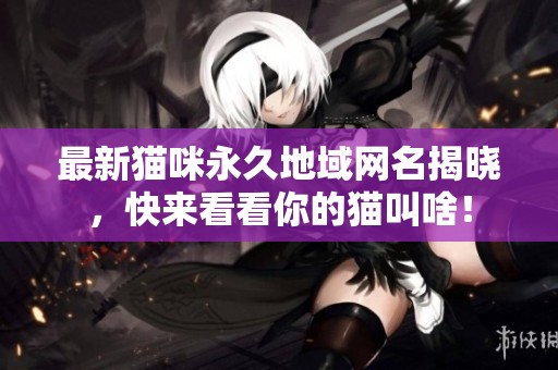 最新猫咪永久地域网名揭晓，快来看看你的猫叫啥！