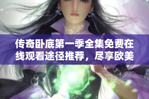 传奇卧底第一季全集免费在线观看途径推荐，尽享欧美剧精彩内容与剧情魅力