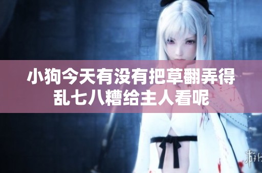 小狗今天有没有把草翻弄得乱七八糟给主人看呢