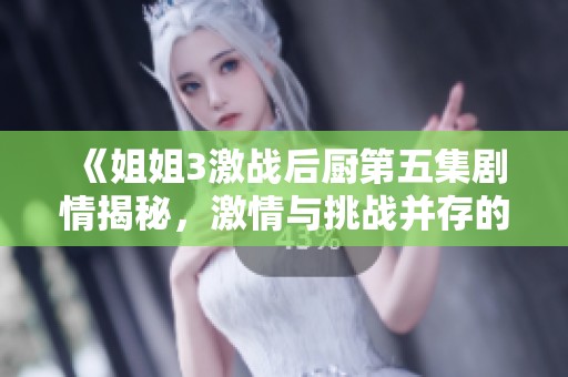 《姐姐3激战后厨第五集剧情揭秘，激情与挑战并存的一夜》