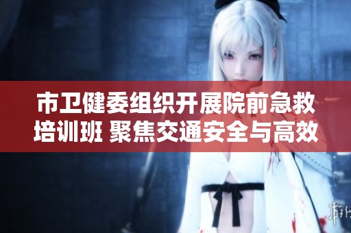 市卫健委组织开展院前急救培训班 聚焦交通安全与高效救援技能提升