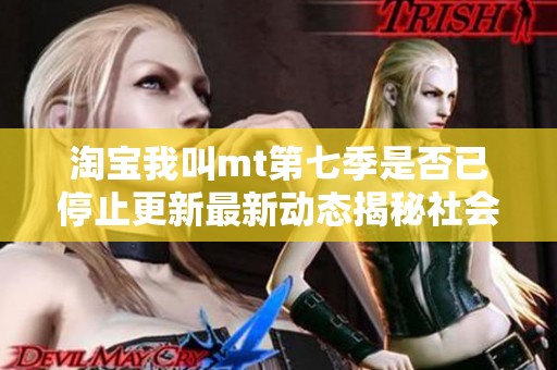 淘宝我叫mt第七季是否已停止更新最新动态揭秘社会新闻分析