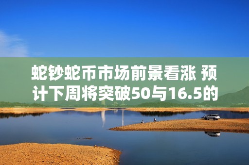 蛇钞蛇币市场前景看涨 预计下周将突破50与16.5的历史高点