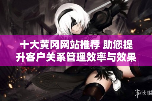 十大黄冈网站推荐 助您提升客户关系管理效率与效果