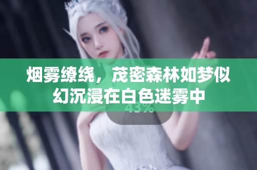 烟雾缭绕，茂密森林如梦似幻沉浸在白色迷雾中