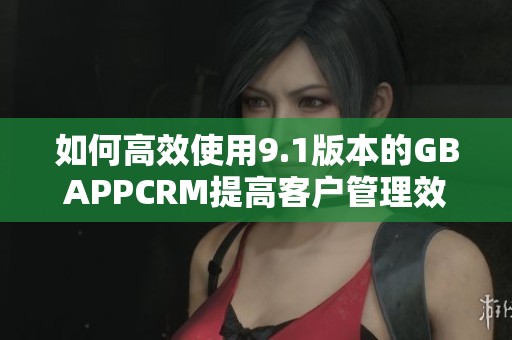 如何高效使用9.1版本的GBAPPCRM提高客户管理效率