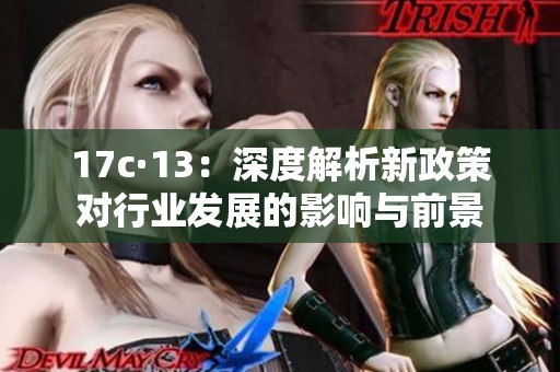 17c·13：深度解析新政策对行业发展的影响与前景