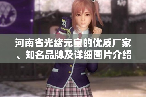 河南省光绪元宝的优质厂家、知名品牌及详细图片介绍，探讨收藏热帖的价值与意义