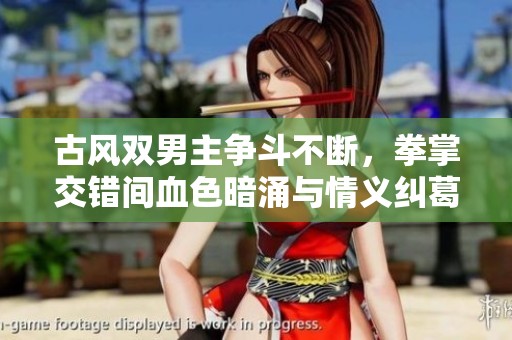 古风双男主争斗不断，拳掌交错间血色暗涌与情义纠葛