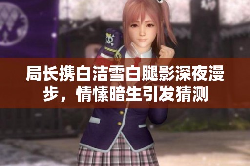 局长携白洁雪白腿影深夜漫步，情愫暗生引发猜测