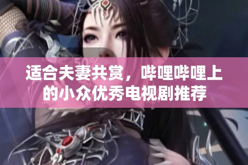 适合夫妻共赏，哔哩哔哩上的小众优秀电视剧推荐