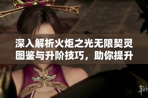 深入解析火炬之光无限契灵图鉴与升阶技巧，助你提升游戏实力与体验