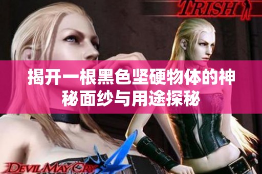 揭开一根黑色坚硬物体的神秘面纱与用途探秘