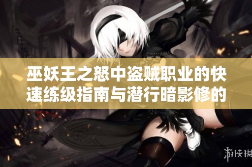 巫妖王之怒中盗贼职业的快速练级指南与潜行暗影修的深度解析