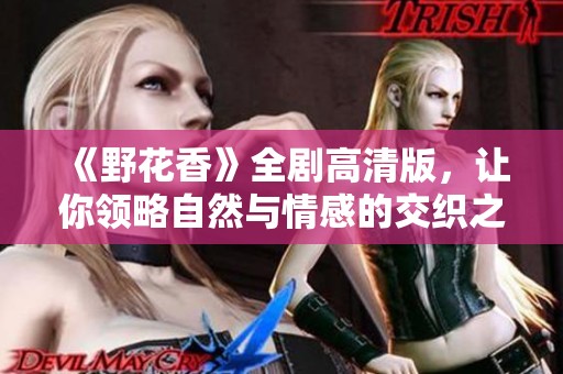 《野花香》全剧高清版，让你领略自然与情感的交织之美