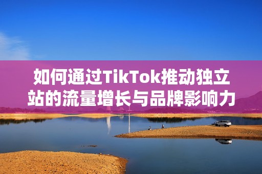 如何通过TikTok推动独立站的流量增长与品牌影响力