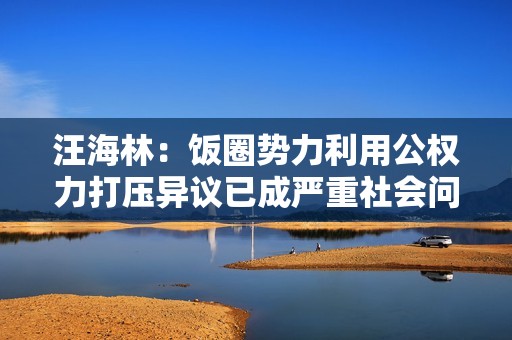 汪海林：饭圈势力利用公权力打压异议已成严重社会问题
