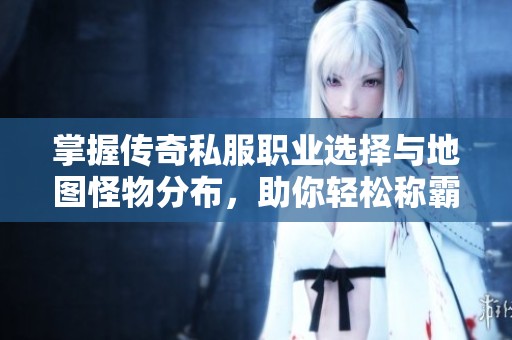 掌握传奇私服职业选择与地图怪物分布，助你轻松称霸游戏世界