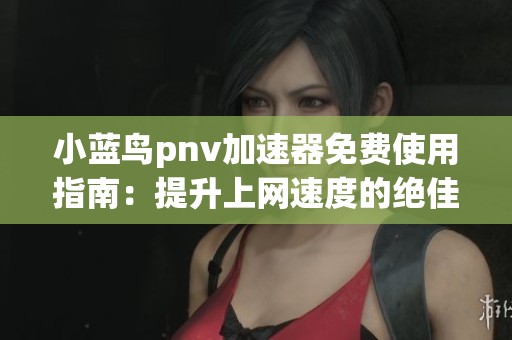 小蓝鸟pnv加速器免费使用指南：提升上网速度的绝佳选择