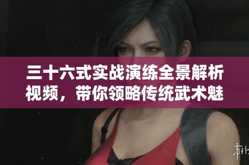三十六式实战演练全景解析视频，带你领略传统武术魅力
