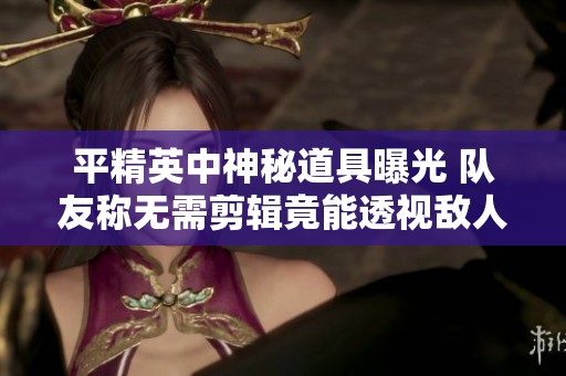 平精英中神秘道具曝光 队友称无需剪辑竟能透视敌人动向