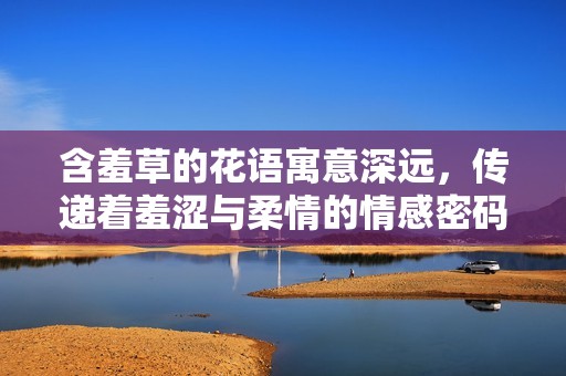 含羞草的花语寓意深远，传递着羞涩与柔情的情感密码