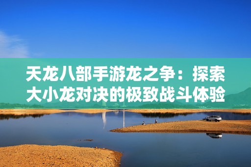 天龙八部手游龙之争：探索大小龙对决的极致战斗体验