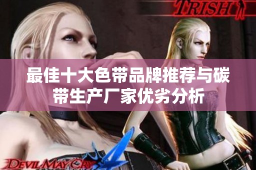 最佳十大色带品牌推荐与碳带生产厂家优劣分析