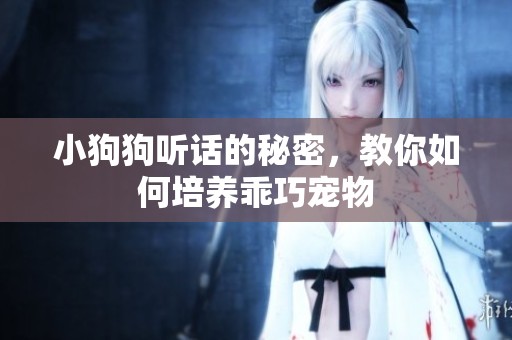 小狗狗听话的秘密，教你如何培养乖巧宠物