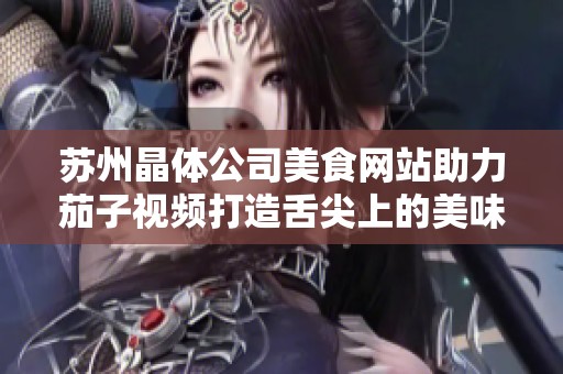 苏州晶体公司美食网站助力茄子视频打造舌尖上的美味体验