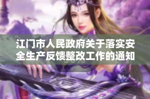 江门市人民政府关于落实安全生产反馈整改工作的通知与安排