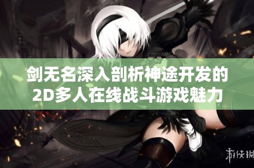 剑无名深入剖析神途开发的2D多人在线战斗游戏魅力与策略解析