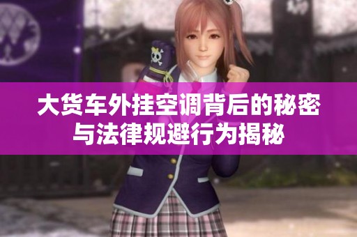 大货车外挂空调背后的秘密与法律规避行为揭秘