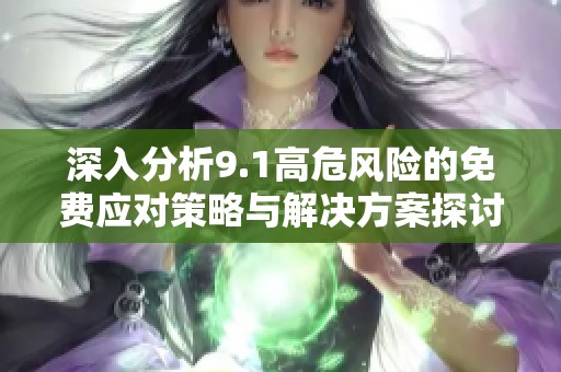 深入分析9.1高危风险的免费应对策略与解决方案探讨