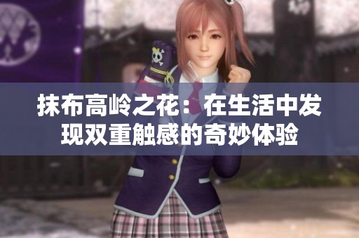 抹布高岭之花：在生活中发现双重触感的奇妙体验