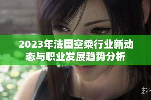 2023年法国空乘行业新动态与职业发展趋势分析