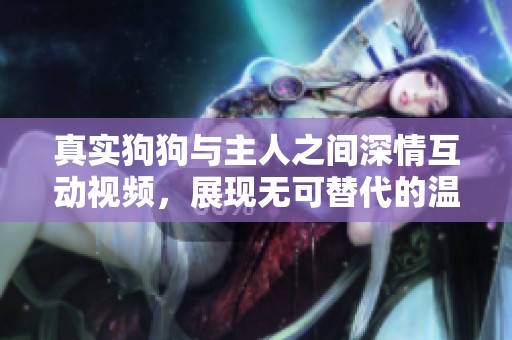真实狗狗与主人之间深情互动视频，展现无可替代的温馨瞬间