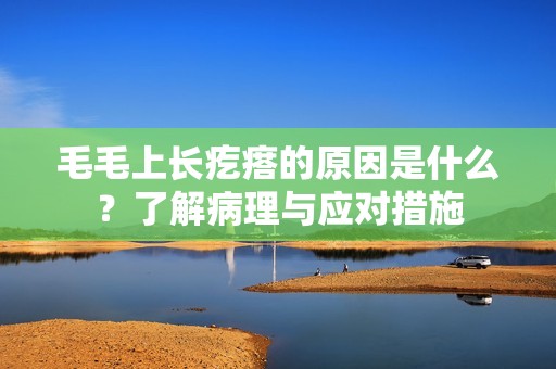 毛毛上长疙瘩的原因是什么？了解病理与应对措施
