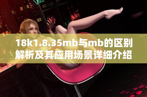 18k1.8.35mb与mb的区别解析及其应用场景详细介绍