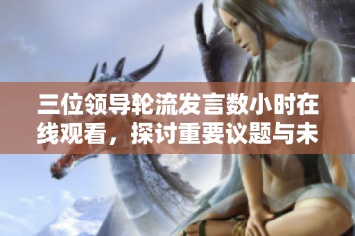 三位领导轮流发言数小时在线观看，探讨重要议题与未来发展