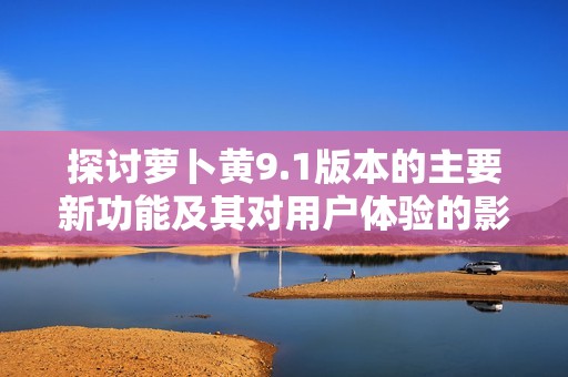 探讨萝卜黄9.1版本的主要新功能及其对用户体验的影响