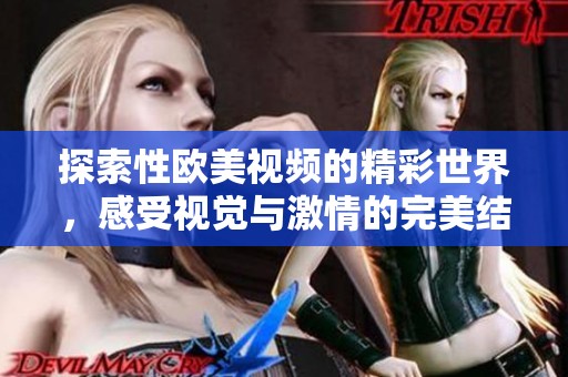 探索性欧美视频的精彩世界，感受视觉与激情的完美结合
