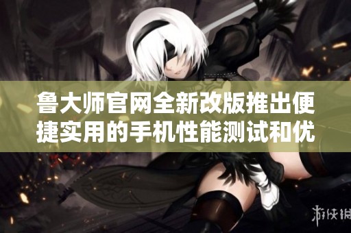 鲁大师官网全新改版推出便捷实用的手机性能测试和优化工具